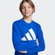 Adidas Παιδικό Σετ Φόρμας Μπλε 2 τεμάχια Essentials
